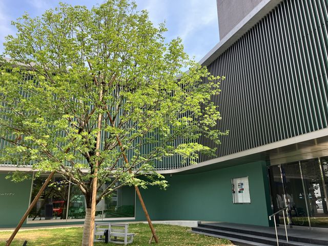 �z�O�ӂ������p��