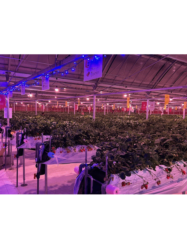 CxgÎv~AJ&#9825;_@t@[