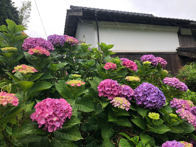 ݂̂̎ӂł͎zԂ炫܂B_݂̂