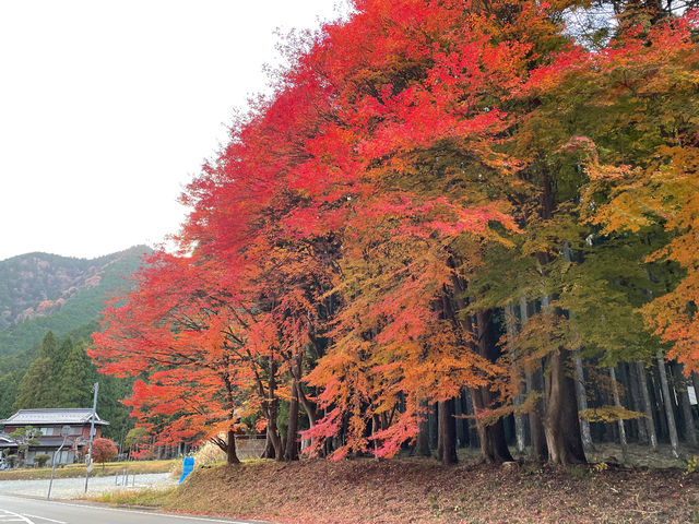 Hɂ͍gtƂȂ܂B݂̂΂̐_ЂɂāB_݂̂