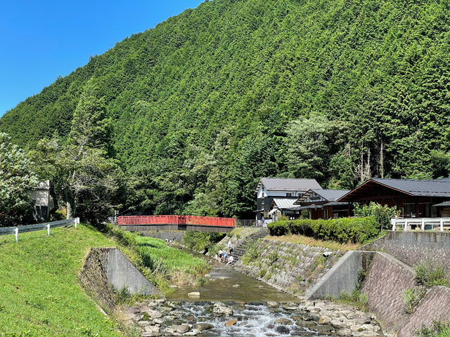 ݂̂̂΂ɂ͐ꂽ삪AĂɂĐVт邱Ƃł܂B_݂̂