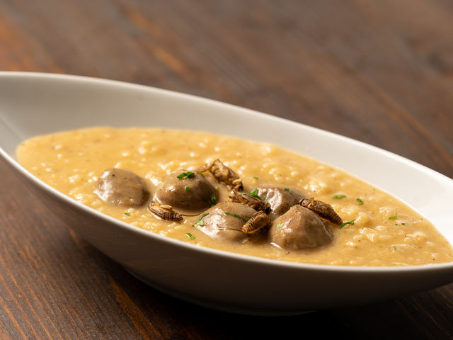 �R�I���M���˂̃`�[�Y���]�b�g_�����HTAKEO �󑐖{�X