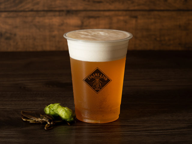 �A���R�[��������葵���Ă���܂�_�����HTAKEO �󑐖{�X