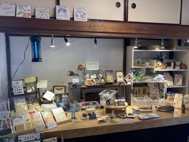 �����Ɋւ���W�����发���e���葵���Ă��܂�_�����HTAKEO �󑐖{�X