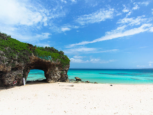 �{�Ó��ɂ��Y��ȃr�[�`����R�����I_ECOmobi�{�Ó�