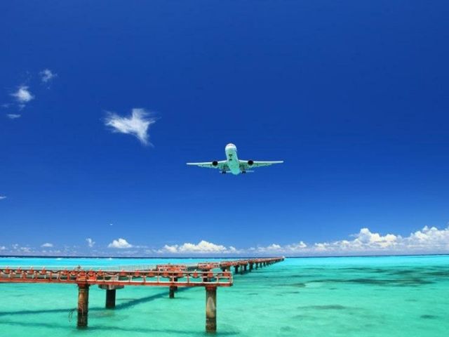 �{�Ãu���[�𖞋i�I �Y��ȃr�[�`��T���ɂ������I_ECOmobi�{�Ó�