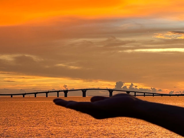 ���ō��̗[�Ă��������I�T���Z�b�g�r�[�`�I_ECOmobi�{�Ó�