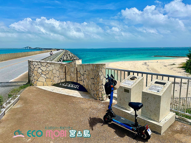 ���d���r�ł̂�т�A������蓇���U�􁙋{�Ó��̑厩�R�𔧂Ŋ�����V���o�̓����ό������y���݂���������_ECOmobi�{�Ó�