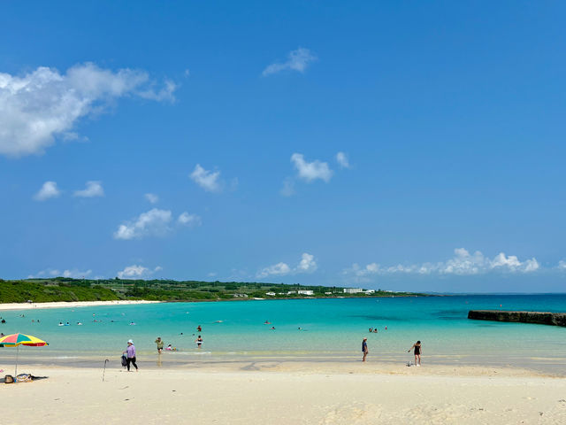 ���r�[�`�ł̂�т��_ECOmobi�{�Ó�