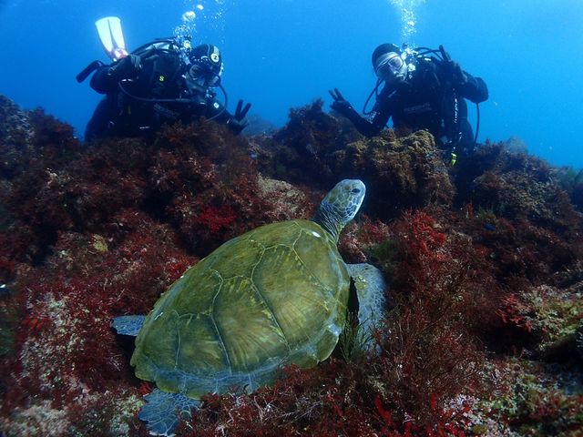 ��ނɏZ�ݒ����E�~�K��_SUNla�ɓ��_�C�r���O(�T�����C�Y)