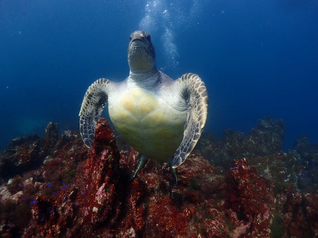 ��ނɏZ�ݒ����E�~�K��_SUNla�ɓ��_�C�r���O(�T�����C�Y)