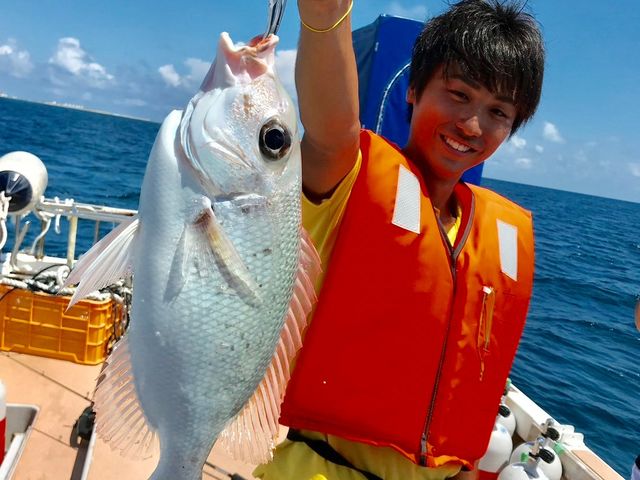 �}�����T�[�r�XDORADO