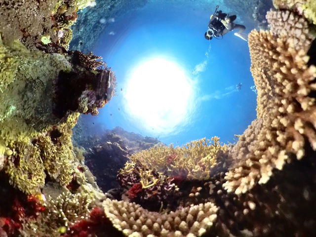 SAMURAI SCUBA