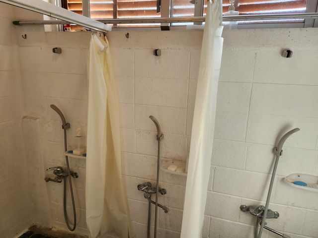 ��g�V���b�v�̃V�����[���������p���������܂��B
�j���ʂłR�䂸����܂��B_Acoustic Life