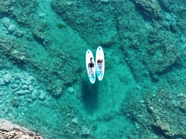 �k�C���T�E�i�������i�ϒO�c�Ə��j