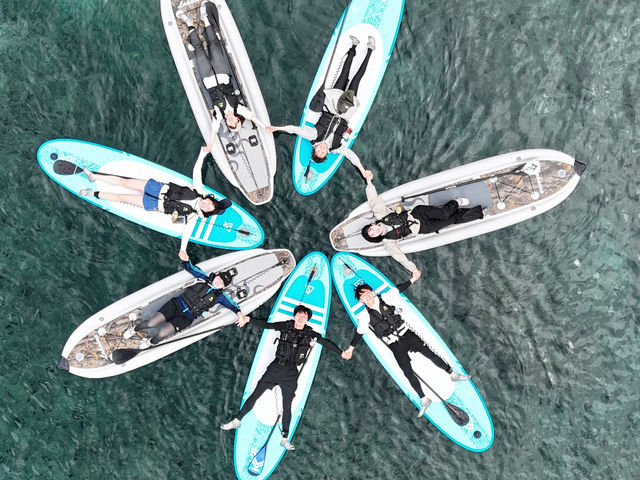 �k�C���T�E�i�������i�ϒO�c�Ə��j