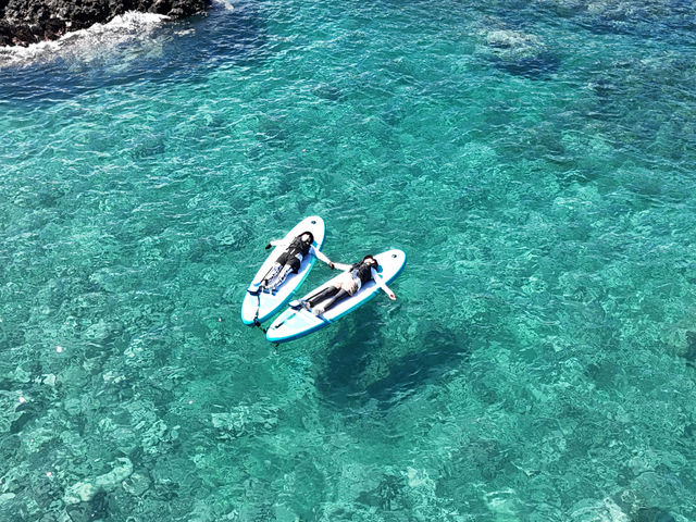 �k�C���T�E�i�������i�ϒO�c�Ə��j