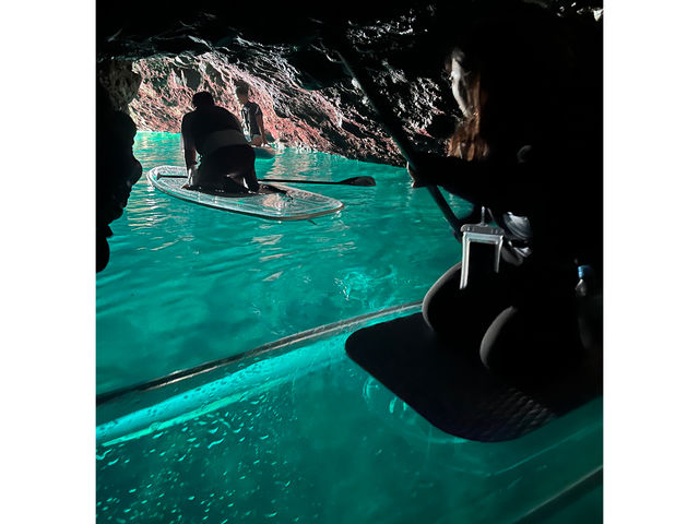 �V���R�^���`���T�E�i