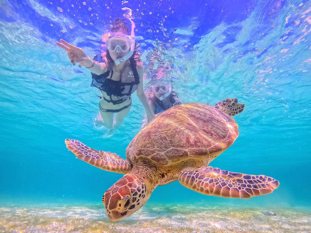 COCO�{�Ó�