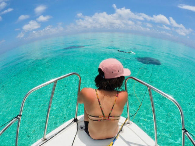 �R�[�����R�[���̎ʐ^1