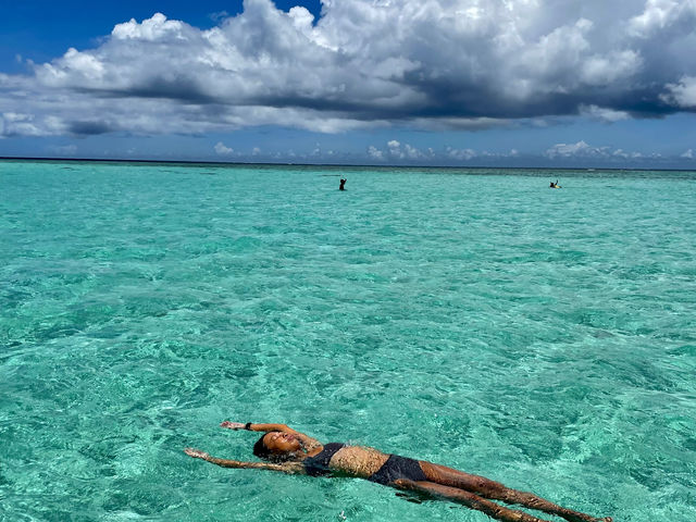 �R�[�����R�[��