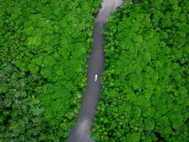 �Ί_���A�N�e�B�r�e�B�N���u