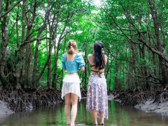 �Ί_���A�N�e�B�r�e�B�N���u