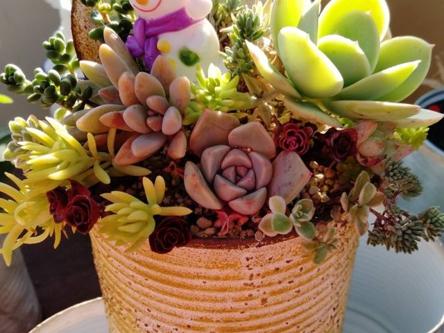 �����C�N�ʂ̑����񂹐A��_�����߂�H�[