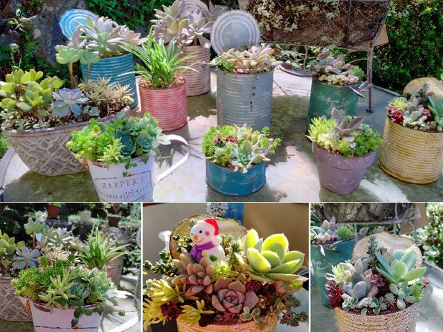 �����񂹐A���̃C���[�W_�����߂�H�[