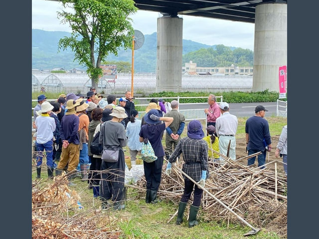 �ۂ����搶�Ɠy���_�_�Ɩ��h �͐���