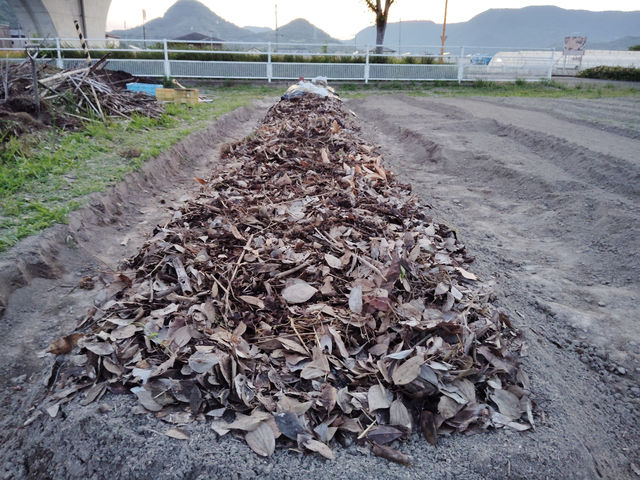 �ۂ����y���
�����t�����Ղ�_�_�Ɩ��h �͐���