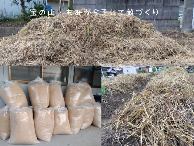 ���}���`_�_�Ɩ��h �͐���