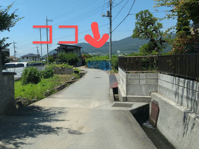 �R�R�ł�_�܂邹���_�� �Ԃǂ����