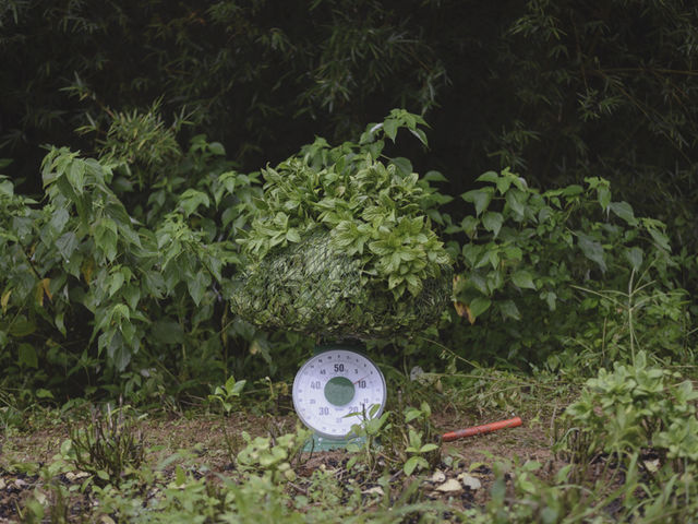 ������ �����H�[ ���l