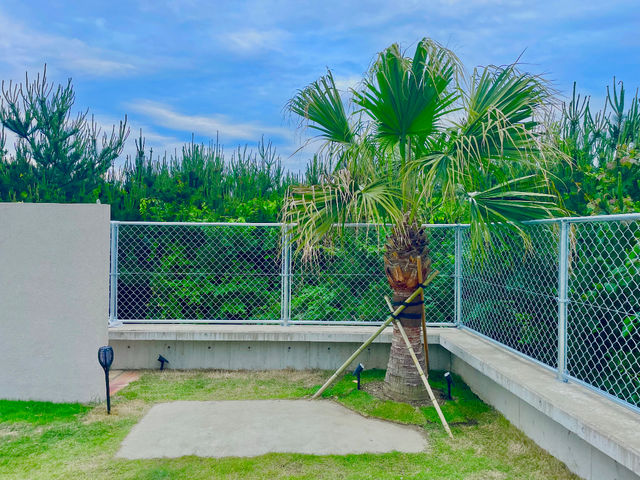 �V���{���c���[�̃r���[���V����ł��I_UNIUS SEASIDE CAMP  ���j�A�X�V�[�T�C�h�L�����v