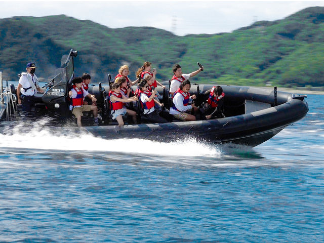 �W�H���A�h�x���`���[RIB���C�h