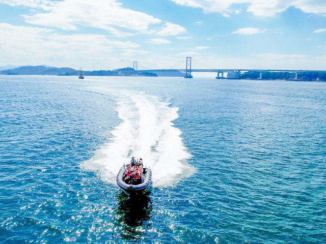 �W�H���A�h�x���`���[RIB���C�h