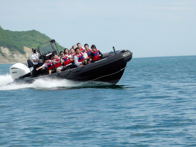 �W�H���A�h�x���`���[RIB���C�h