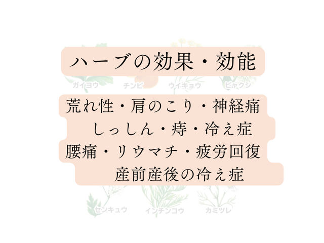 ��򕔊O�i�u�����h�n�[�u�̌��ʌ��\�ł��I_YOSAPARK �G���}�[ ����X