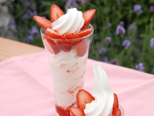 �t�̏{�f�U�[�g�u�ӂ�̂������v_�ӂ�̃K�[�f���J�t�F