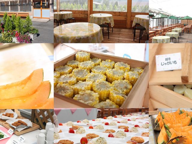 �������H�ו�����_�ӂ�̃K�[�f���J�t�F