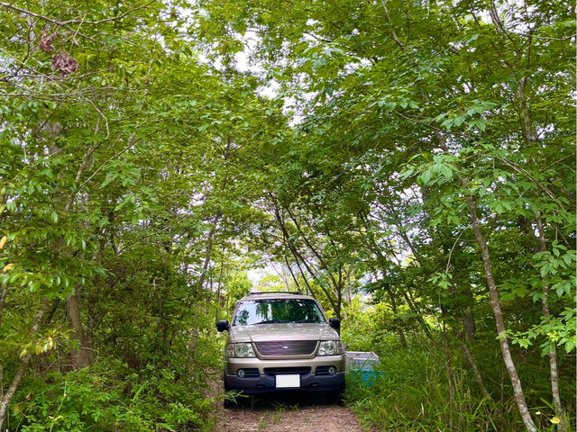 �X�ї�_Ado�̐X