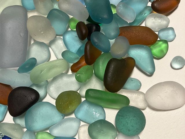 �C�̕�΁u�V�[�O���X�v_�H�[ �A�I�g�~�h��