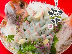 ���� �����̎ʐ^1