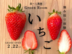 Green Room̎ʐ^1