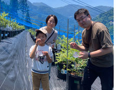かずら橋ブルーベリー園&古民家カフェ天空の写真1