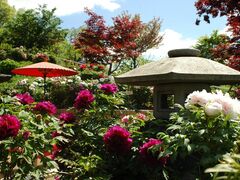 ��ˎs�����J���O���̎ʐ^1