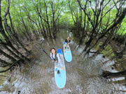 LOUTRE ISHIGAKI�̎ʐ^4