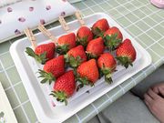 �T���x���[�_���̎ʐ^3