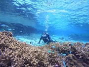 �{�Ó��_�C�r���OYOSHI(������[)�̎ʐ^2